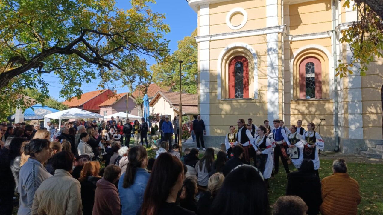 У Бачини одржани VII Дани бербе и сајам кулинарства: Укус, боја и мирис завичаја