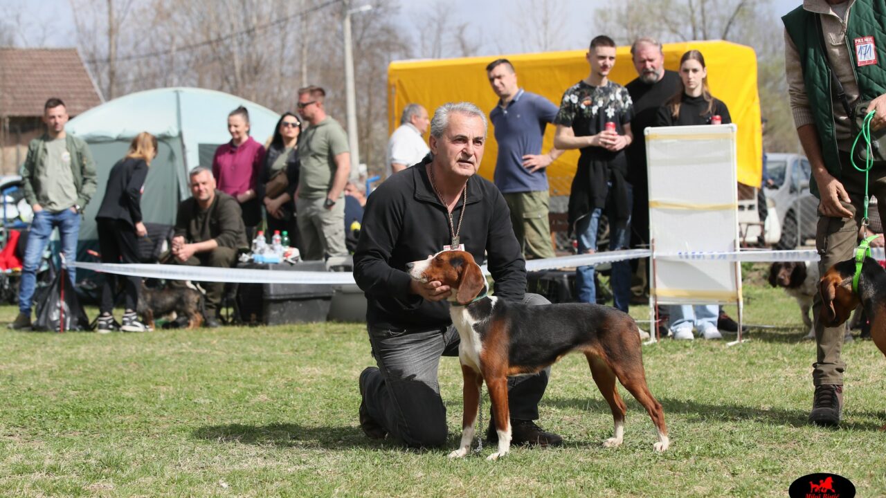 У Медвеђи код Трстеника одржана 12. Национална изложба паса свих раса