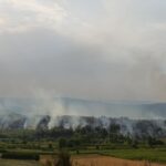 Ватра пустоши атаре Тољевца и Карановца, ватрогасне јединице на терену