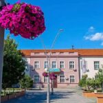 Милена Турк: Трстеник пример добре праксе у подршци најосетљивијима