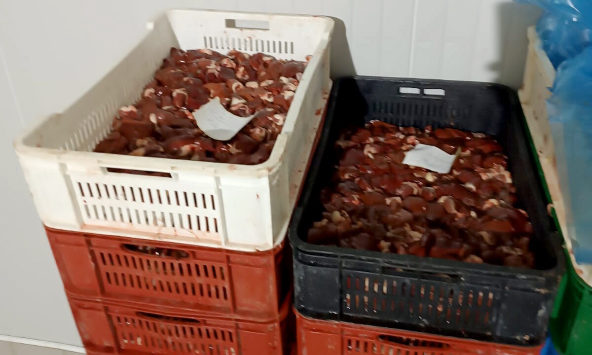 Спречена трговина зараженим пилећим месом: Заплењено 40 тона, ухапшене две особе из Ћићевца