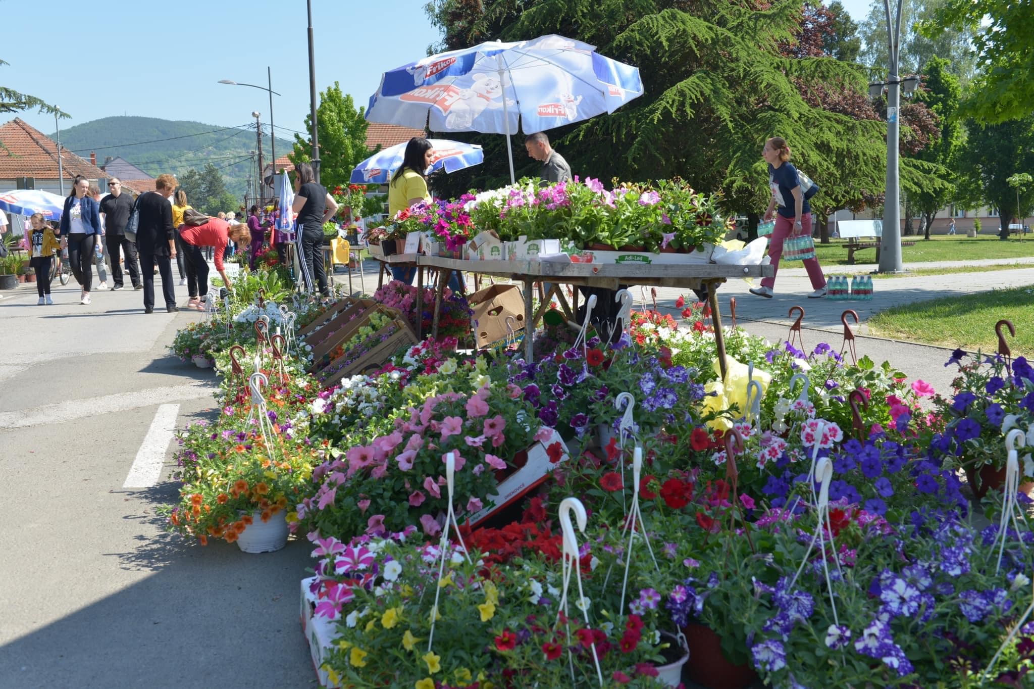 Пети “Пролећни фестивал цвећа” 28. и 29. априла у Трстенику